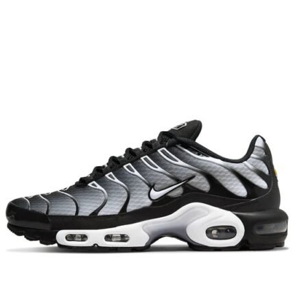 (1) Nike Air Max Plus 'Black Metallic Silver'